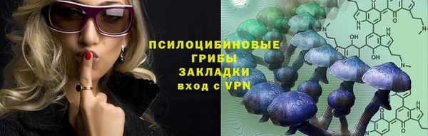 гидра Краснослободск
