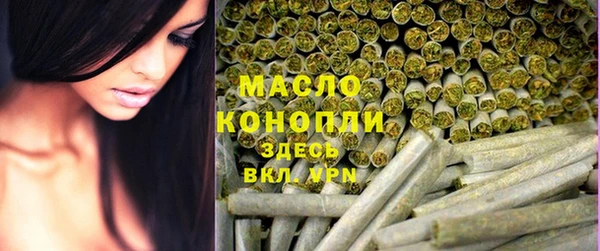 гидра Краснослободск