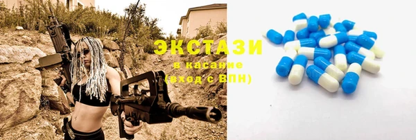 гидра Краснослободск